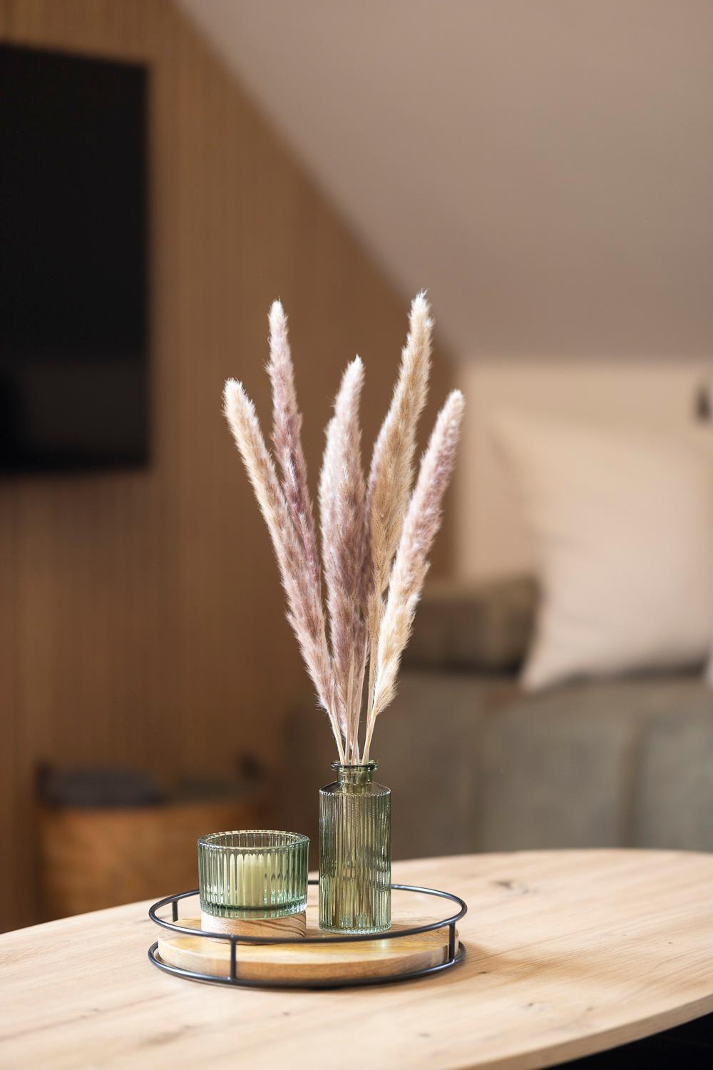 Apartman Manuel Horní Planá Extérieur photo
